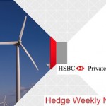 Hedge Weekly 53 Hedge Fund Performance In 2011