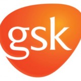 GlaxoSmithKline Best Pharma Stocks
