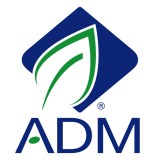 Archer Daniels Midland Is ADM A Good Stock To Buy Right Now?