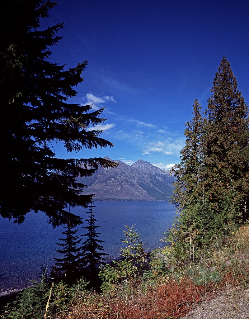 15 Best Places to Retire in Montana - Insider Monkey - Vimarsana News
