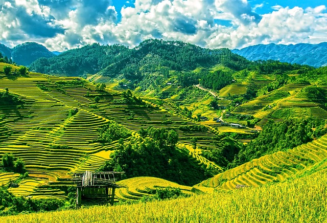 15 Best Countries to Retire in Asia - Insider Monkey - Vimarsana News
