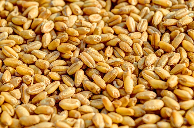 5 Countries with the Highest Wheat Consumption - Vimarsana News