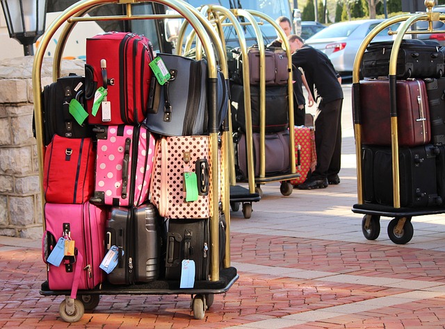 10 Most Expensive Luggage Sets, Expensive Bags