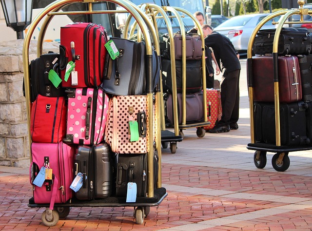 The 5 Most Expensive Luggage Bags and Brands in the World